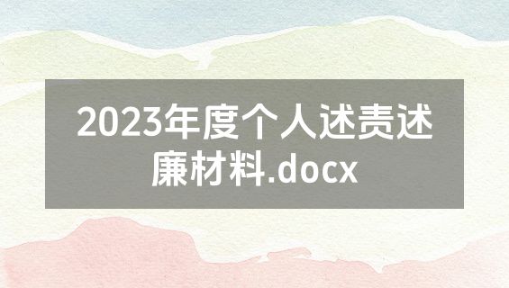 2023年度个人述责述廉材料.docx