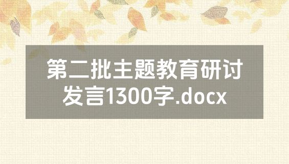 第二批主题教育研讨发言1300字.docx