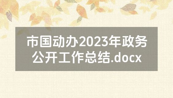 市国动办2023年政务公开工作总结.docx