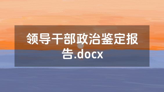 领导干部政治鉴定报告.docx