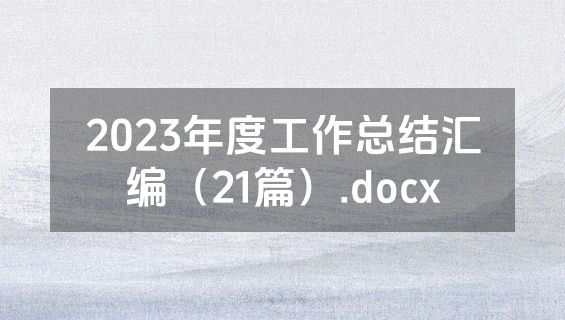 2023年度工作总结汇编（21篇）.docx