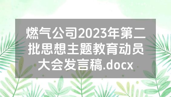 燃气公司2023年第二批思想主题教育动员大会发言稿.docx