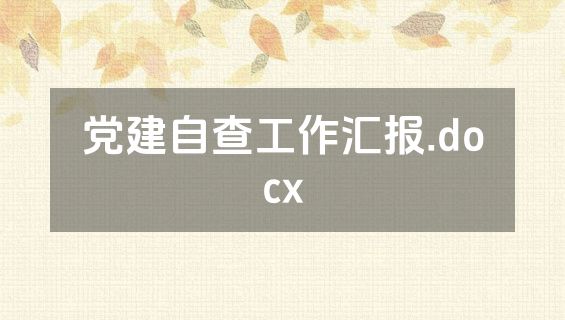 党建自查工作汇报.docx