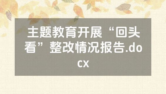 主题教育开展“回头看”整改情况报告.docx