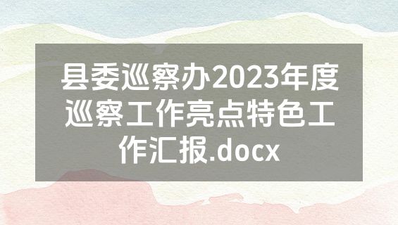 县委巡察办2023年度巡察工作亮点特色工作汇报.docx
