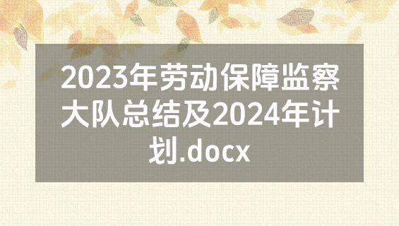 2023年劳动保障监察大队总结及2024年计划.docx