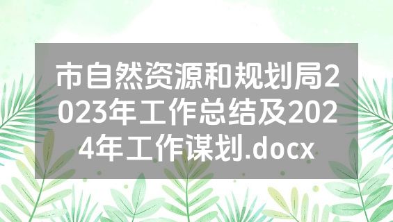 市自然资源和规划局2023年工作总结及2024年工作谋划.docx