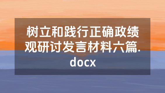 树立和践行正确政绩观研讨发言材料六篇.docx