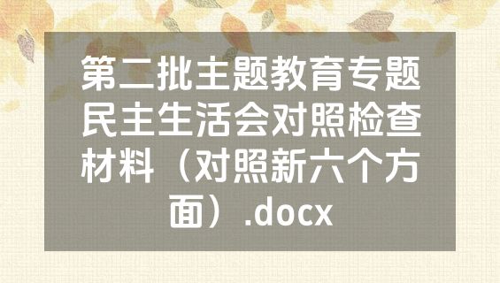 第二批主题教育专题民主生活会对照检查材料（对照新六个方面）.docx