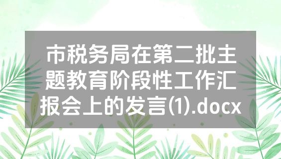市税务局在第二批主题教育阶段性工作汇报会上的发言(1).docx