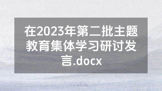 在2023年第二批主题教育集体学习研讨发言.docx