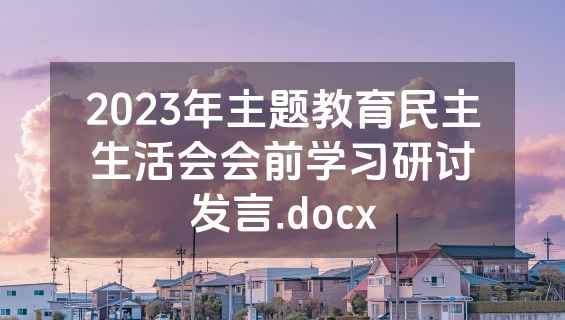2023年主题教育民主生活会会前学习研讨发言.docx