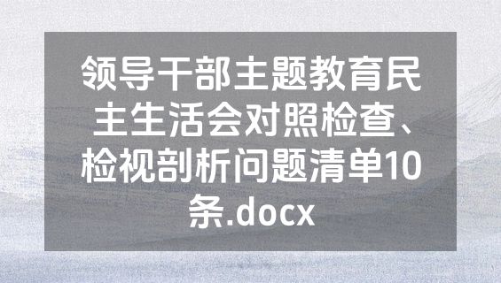 领导干部主题教育民主生活会对照检查、检视剖析问题清单10条.docx