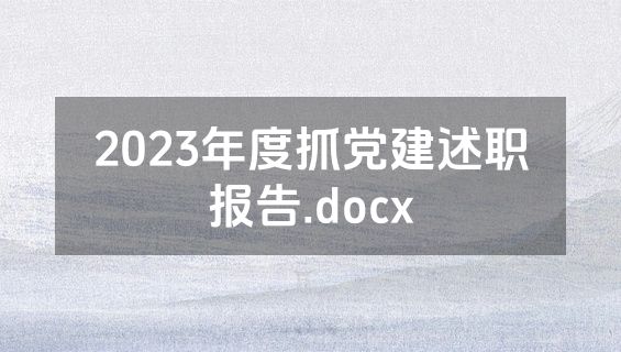 2023年度抓党建述职报告.docx