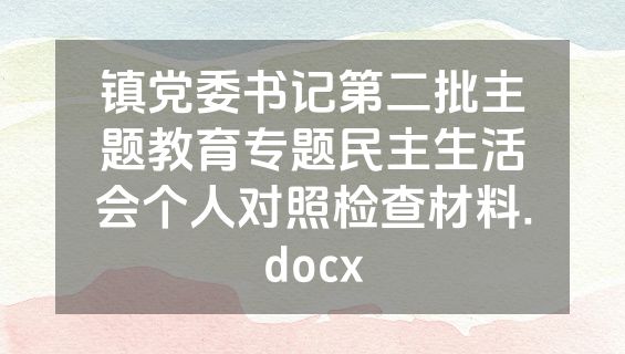 镇党委书记第二批主题教育专题民主生活会个人对照检查材料.docx