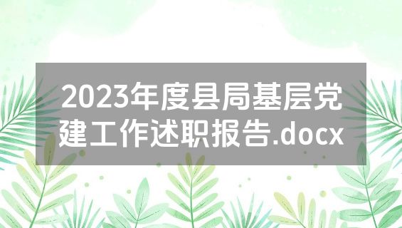 2023年度县局基层党建工作述职报告.docx