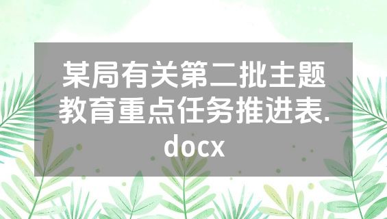 某局有关第二批主题教育重点任务推进表.docx