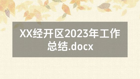XX经开区2023年工作总结.docx