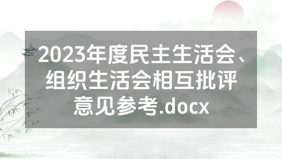 2023年度民主生活会、组织生活会相互批评意见参考.docx