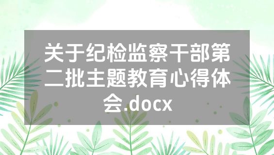 关于纪检监察干部第二批主题教育心得体会.docx