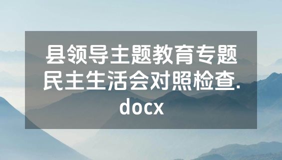县领导主题教育专题民主生活会对照检查.docx