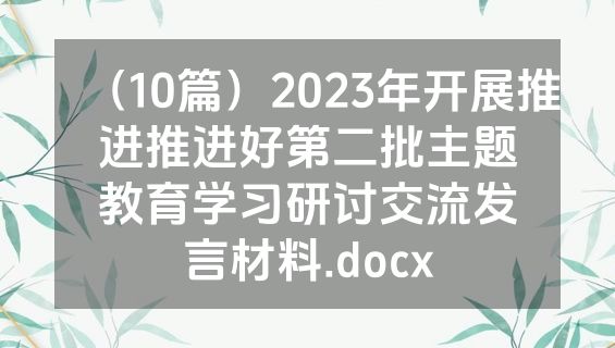 （10篇）2023年开展推进推进好第二批主题教育学习研讨交流发言材料.docx