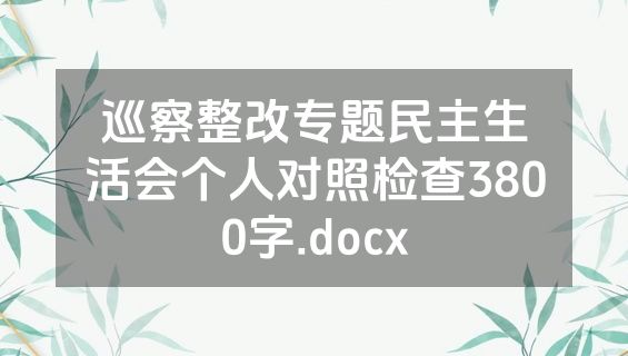 巡察整改专题民主生活会个人对照检查3800字.docx