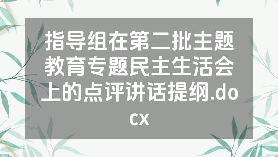 指导组在第二批主题教育专题民主生活会上的点评讲话提纲.docx