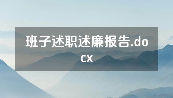 班子述职述廉报告.docx