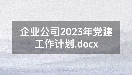 企业公司2023年党建工作计划.docx