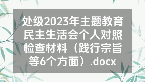 处级2023年主题教育民主生活会个人对照检查材料（践行宗旨等6个方面）.docx