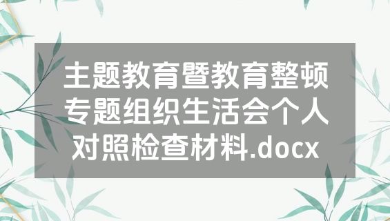 主题教育暨教育整顿专题组织生活会个人对照检查材料.docx
