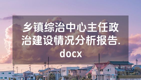 乡镇综治中心主任政治建设情况分析报告.docx