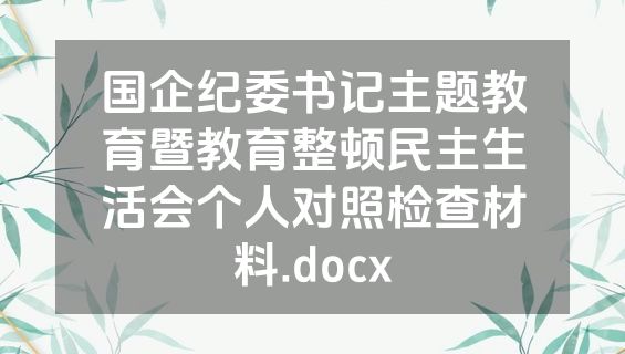 国企纪委书记主题教育暨教育整顿民主生活会个人对照检查材料.docx