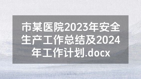 市某医院2023年安全生产工作总结及2024年工作计划.docx