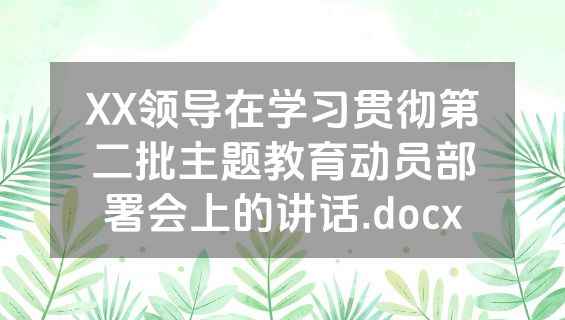 XX领导在学习贯彻第二批主题教育动员部署会上的讲话.docx