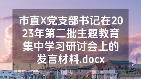 市直X党支部书记在2023年第二批主题教育集中学习研讨会上的发言材料.docx