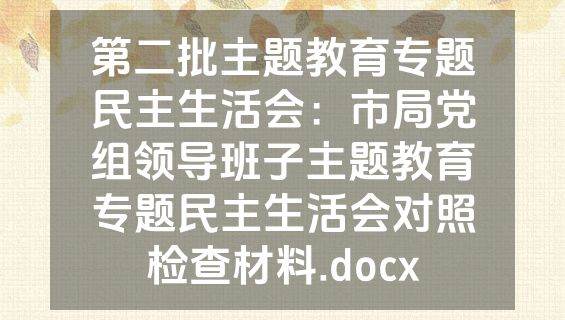 第二批主题教育专题民主生活会：市局党组领导班子主题教育专题民主生活会对照检查材料.docx