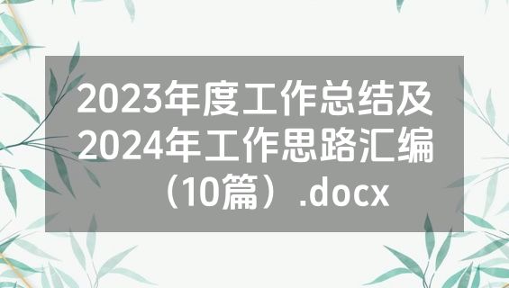 2023年度工作总结及2024年工作思路汇编（10篇）.docx