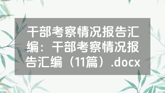 干部考察情况报告汇编：干部考察情况报告汇编（11篇）.docx