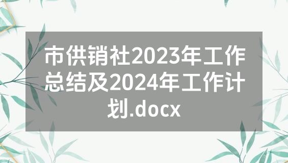 市供销社2023年工作总结及2024年工作计划.docx