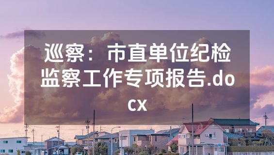 巡察：市直单位纪检监察工作专项报告.docx