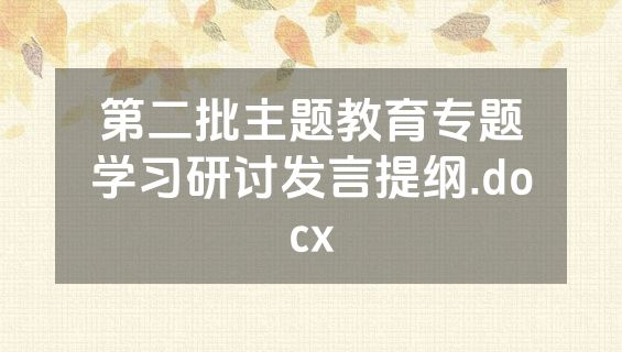 第二批主题教育专题学习研讨发言提纲.docx
