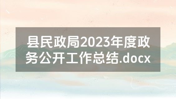 县民政局2023年度政务公开工作总结.docx
