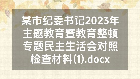 某市纪委书记2023年主题教育暨教育整顿专题民主生活会对照检查材料(1).docx
