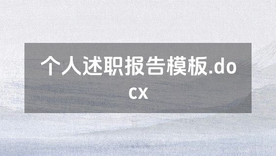 个人述职报告模板.docx