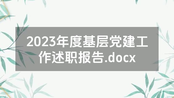 2023年度基层党建工作述职报告.docx