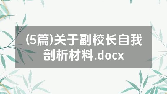 (5篇)关于副校长自我剖析材料.docx