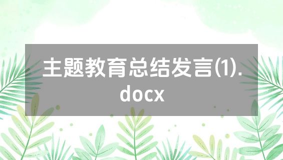 主题教育总结发言(1).docx