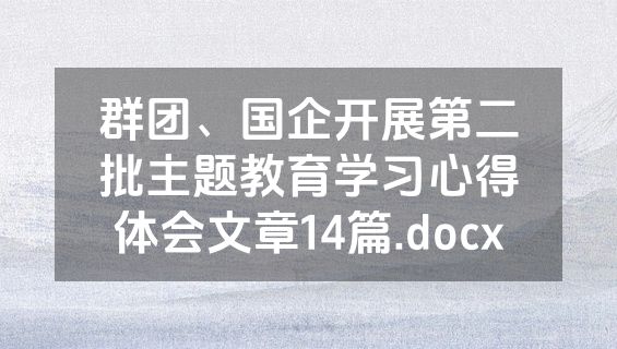 群团、国企开展第二批主题教育学习心得体会文章14篇.docx